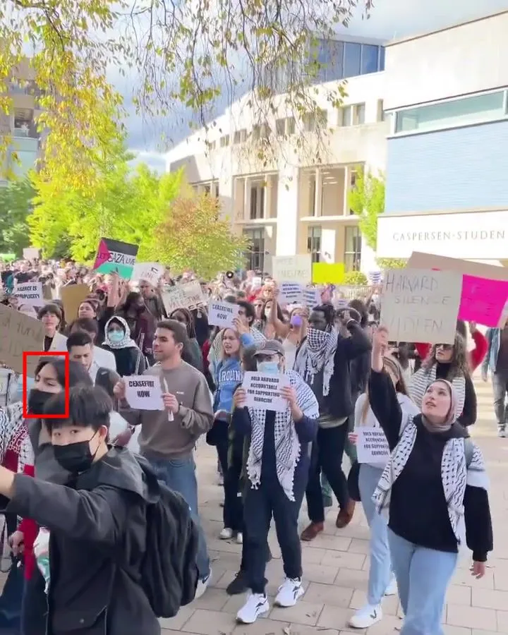 Isabella texeira-ramos